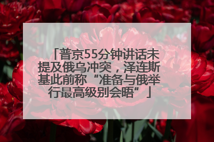 普京55分钟讲话未提及俄乌冲突，泽连斯基此前称“准备与俄举行最高级别会晤”