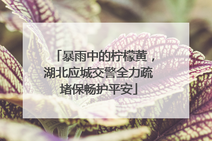 暴雨中的柠檬黄，湖北应城交警全力疏堵保畅护平安