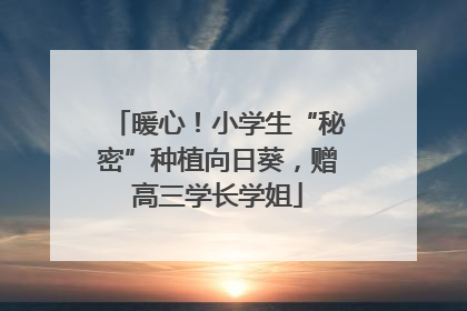 暖心！小学生“秘密”种植向日葵，赠高三学长学姐
