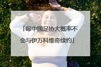 曝中国足协大概率不会与伊万科维奇续约