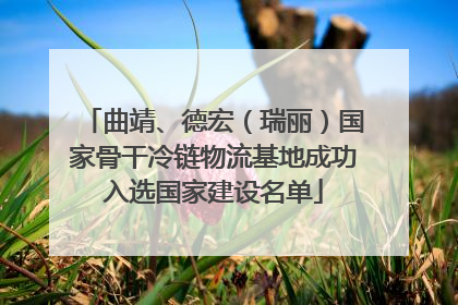 曲靖、德宏（瑞丽）国家骨干冷链物流基地成功入选国家建设名单