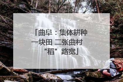 曲阜：集体耕种一块田 二张曲村“稻”路宽