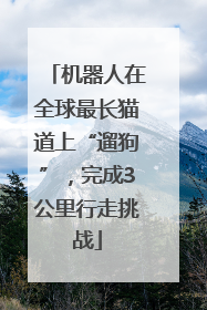 机器人在全球最长猫道上“遛狗”，完成3公里行走挑战