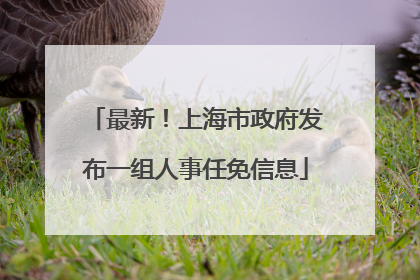 最新！上海市政府发布一组人事任免信息