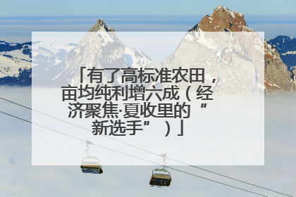 有了高标准农田，亩均纯利增六成（经济聚焦·夏收里的“新选手”）