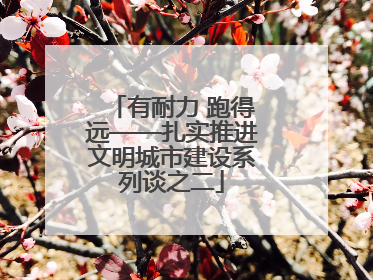 有耐力 跑得远——扎实推进文明城市建设系列谈之二