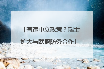 有违中立政策？瑞士扩大与欧盟防务合作