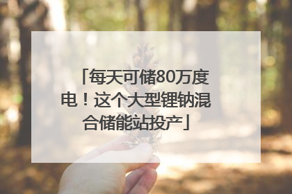 每天可储80万度电！这个大型锂钠混合储能站投产