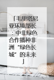 毛里塔尼亚环境部长：中非绿色合作播种非洲“绿色长城”的未来