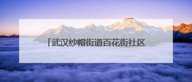 武汉纱帽街道百花街社区端午公益美食节主题活动