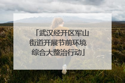 武汉经开区军山街道开展节前环境综合大整治行动