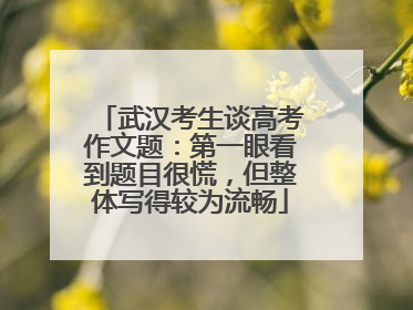 武汉考生谈高考作文题：第一眼看到题目很慌，但整体写得较为流畅