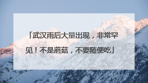 武汉雨后大量出现，非常罕见！不是蘑菇，不要随便吃