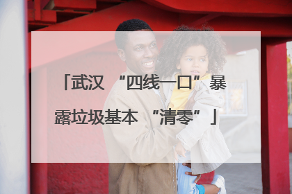 武汉 “四线一口”暴露垃圾基本 “清零”