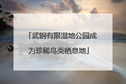 武钢有限湿地公园成为珍稀鸟类栖息地