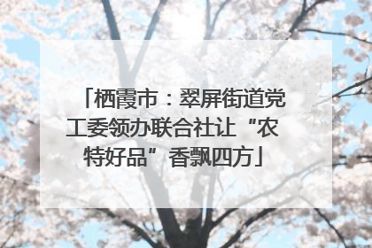 栖霞市：翠屏街道党工委领办联合社让“农特好品”香飘四方
