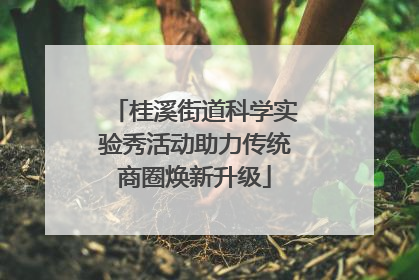 桂溪街道科学实验秀活动助力传统商圈焕新升级