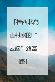 桂西北高山村寨的“云端”致富路