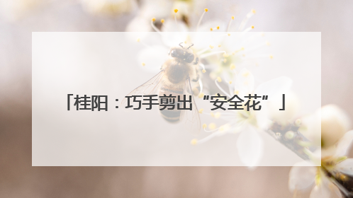 桂阳：巧手剪出“安全花”