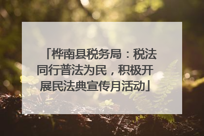 桦南县税务局：税法同行普法为民，积极开展民法典宣传月活动