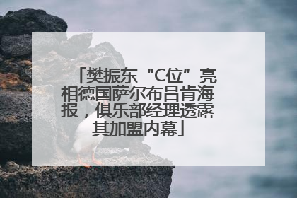樊振东“C位”亮相德国萨尔布吕肯海报，俱乐部经理透露其加盟内幕