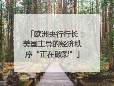 欧洲央行行长：美国主导的经济秩序“正在破裂”