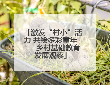 激发“村小”活力 共绘多彩童年——乡村基础教育发展观察