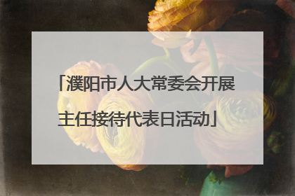 濮阳市人大常委会开展主任接待代表日活动