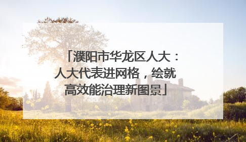 濮阳市华龙区人大：人大代表进网格，绘就高效能治理新图景