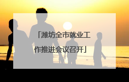 潍坊全市就业工作推进会议召开