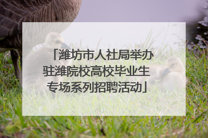 潍坊市人社局举办驻潍院校高校毕业生专场系列招聘活动
