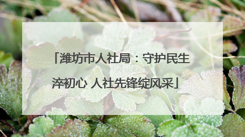 潍坊市人社局：守护民生淬初心 人社先锋绽风采