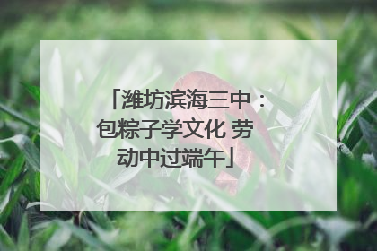潍坊滨海三中：包粽子学文化 劳动中过端午