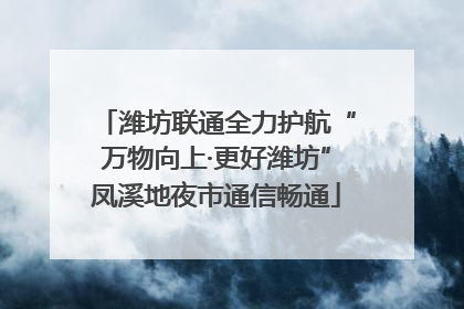 潍坊联通全力护航“万物向上·更好潍坊”凤溪地夜市通信畅通
