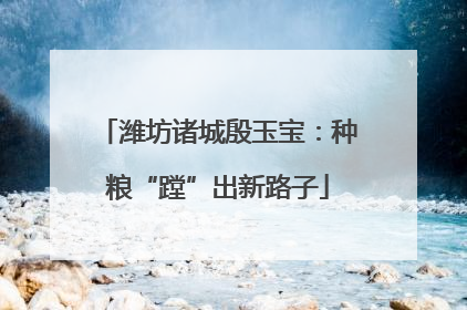 潍坊诸城殷玉宝：种粮“蹚”出新路子