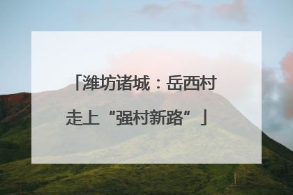 潍坊诸城：岳西村走上“强村新路”