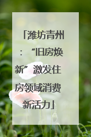 潍坊青州：“旧房焕新”激发住房领域消费新活力