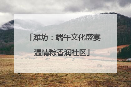 潍坊：端午文化盛宴 温情粽香润社区