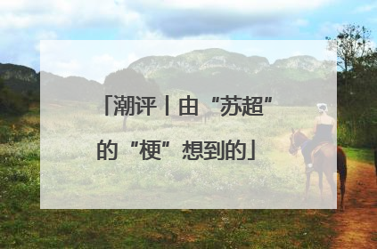 潮评丨由“苏超”的“梗”想到的
