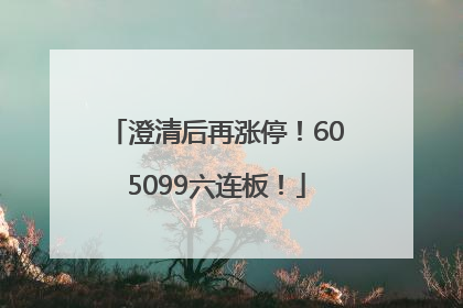 澄清后再涨停！605099六连板！