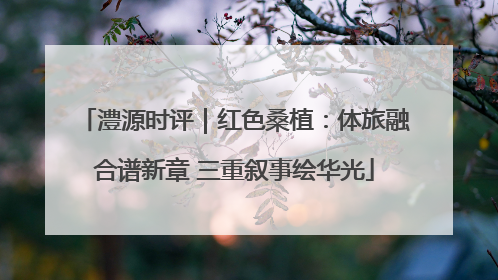 澧源时评｜红色桑植：体旅融合谱新章 三重叙事绘华光