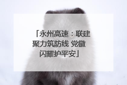 永州高速：联建聚力筑防线 党徽闪耀护平安