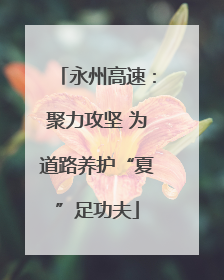 永州高速：聚力攻坚 为道路养护“夏”足功夫