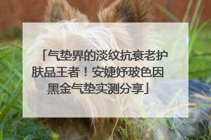 气垫界的淡纹抗衰老护肤品王者！安婕妤玻色因黑金气垫实测分享
