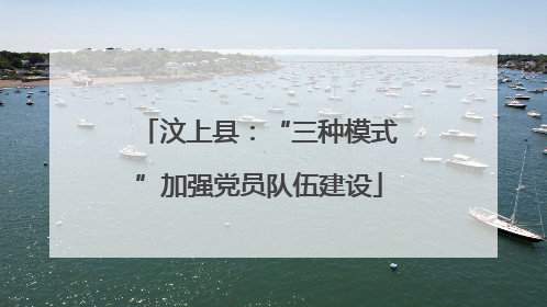 汶上县：“三种模式”加强党员队伍建设