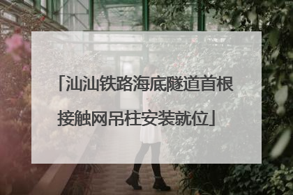 汕汕铁路海底隧道首根接触网吊柱安装就位