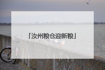 汝州粮仓迎新粮