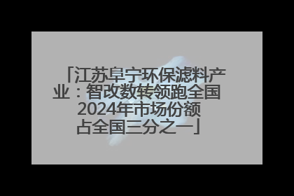 江苏阜宁环保滤料产业：智改数转领跑全国 2024年市场份额占全国三分之一