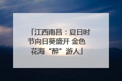 江西南昌：夏日时节向日葵盛开 金色花海“醉”游人