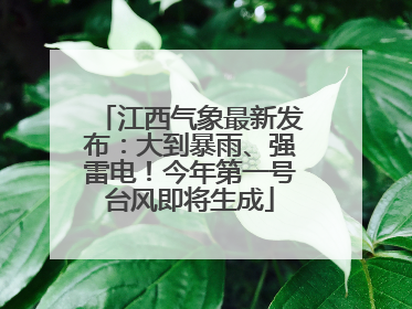 江西气象最新发布：大到暴雨、强雷电！今年第一号台风即将生成